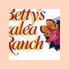 Betty's Azalea Ranch