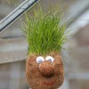 Sod Busters