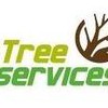 B G Tree Service