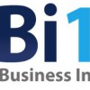 Business Intelligence 101