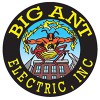 Big Ant Electric