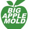 Big Apple Mold Removal