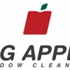 Big Apple Window Cleaning