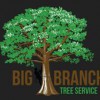 Big Branch Tree Service