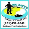 Pest Control & Termite Solutions