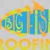 Big Fish Roofing & Waterproofing