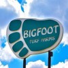 Bigfoot Turf Farm