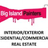 1 Big Island Painters