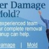 Water Damage Experts