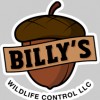 Billy's Wildlife Control