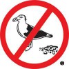 Bird B Gone