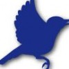 Birdsong Electric