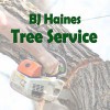 BJ Haines Tree Services