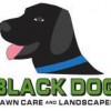 Black Dog Lawn Care & Landscapes