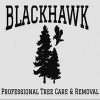 Blackhawk Tree