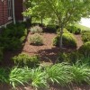 James Black Landscaping