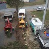 Blanford's Tree Service