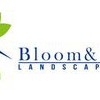Bloom & Lawn Landscaping