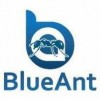 Blue Ant