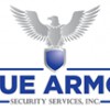 Blue Armor Security Systems