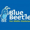 Blue Beetle Termite & Pest