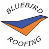 Bluebird Construction