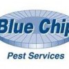 Blue Chip Pest Services