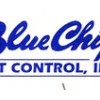 Bluechip Pest Control
