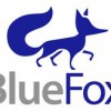 Blue Fox Outdoor Living
