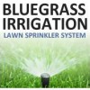 Bluegrass Irrigation