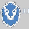 Blue Lion Systems