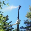 Blue Ridge Tree Services
