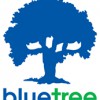 Blue Tree Casework