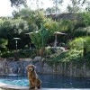 Bluewater Pool-Spa-Fountain