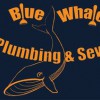 Blue Whale Plumbing & Sewer