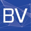 Blu Vector