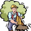 Bobby's Tree Service