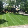 Bob's Lawn & Yard Service