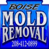 Boise Mold Removal
