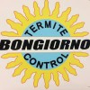 Bongiorno Termite Control