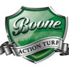 Boone Action Turf