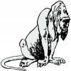 Spec Enterprises
