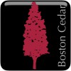 Boston Cedar