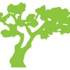 Botanical Designs