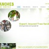 Branches Tree Services