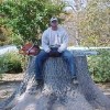 Branch Out Tree Services