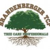 Brandenberger Tree Care Professionals