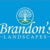 Brandon's Landscapes