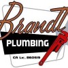 Brandt Plumbing