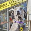 Brass Key Locksmith